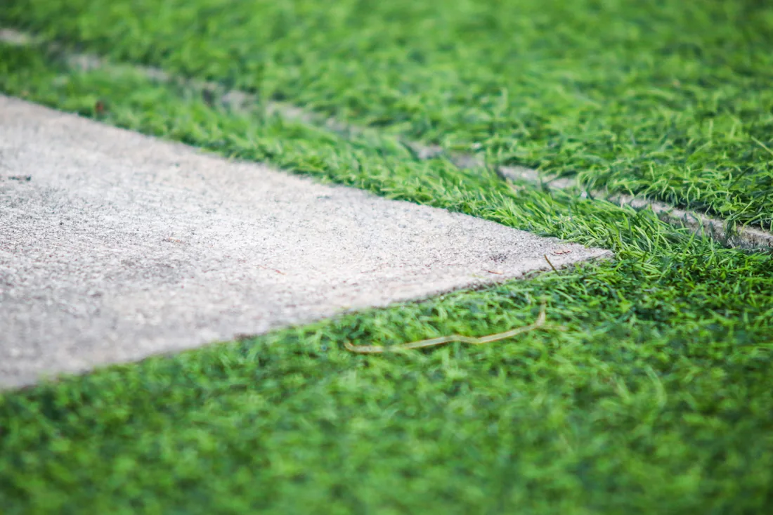 Artificial turf finished neatly against a concrete edge